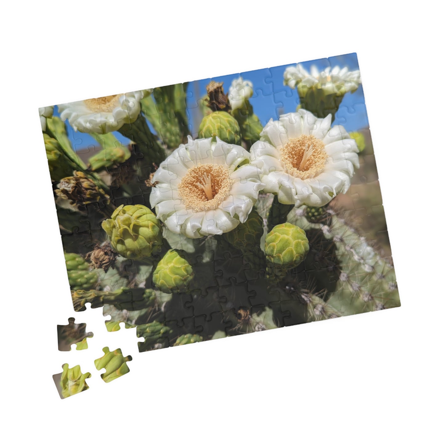 cactus flower puzzle