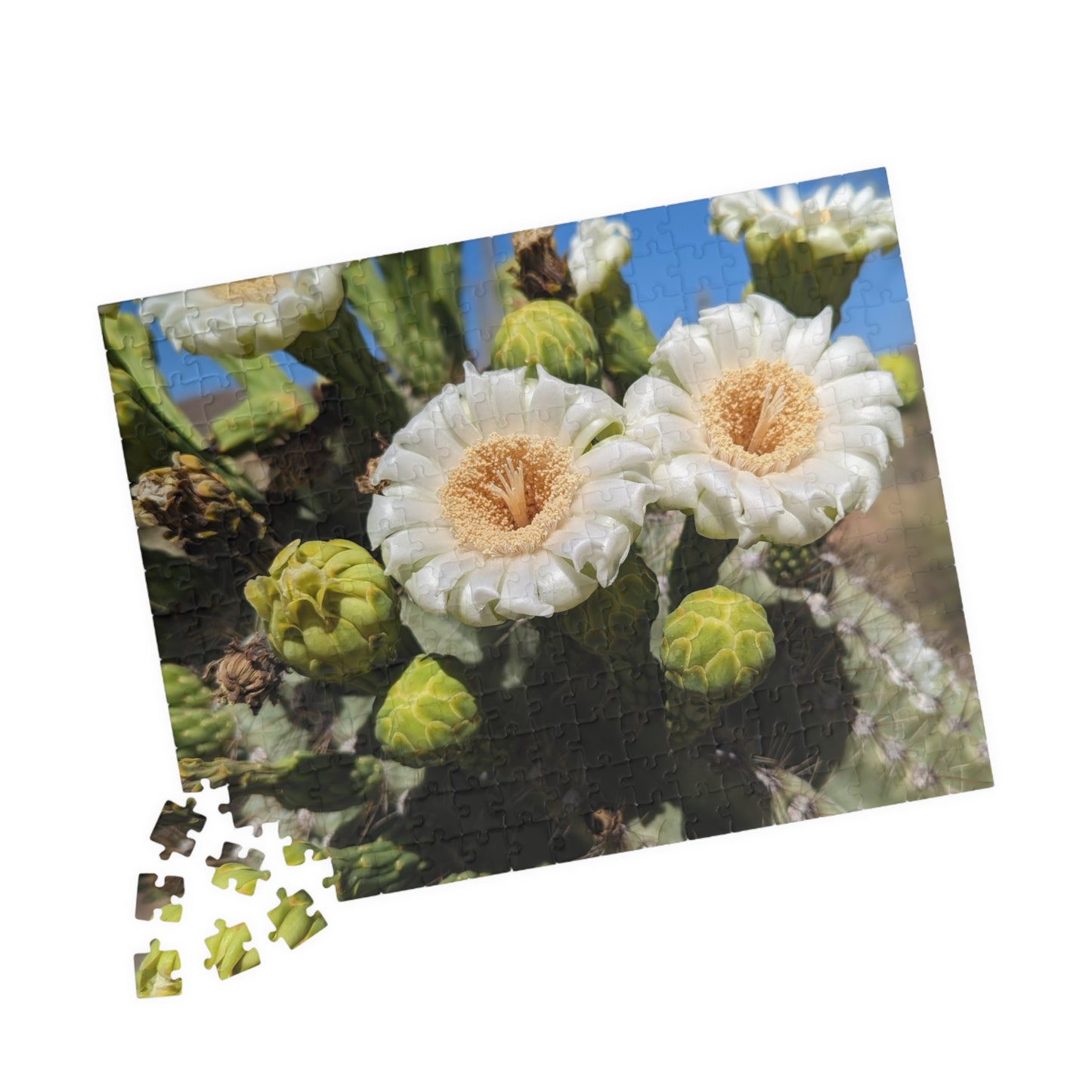 cactus flower puzzle