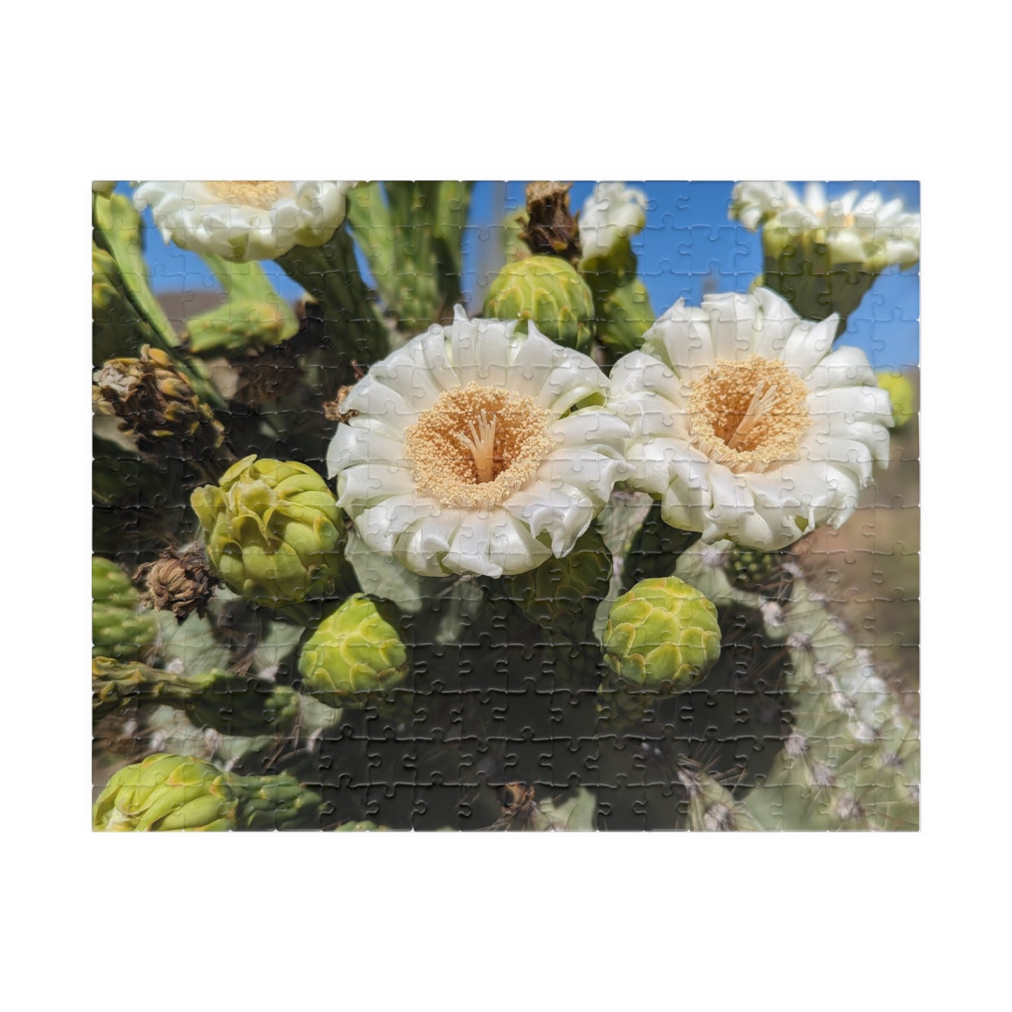 cactus flower puzzle