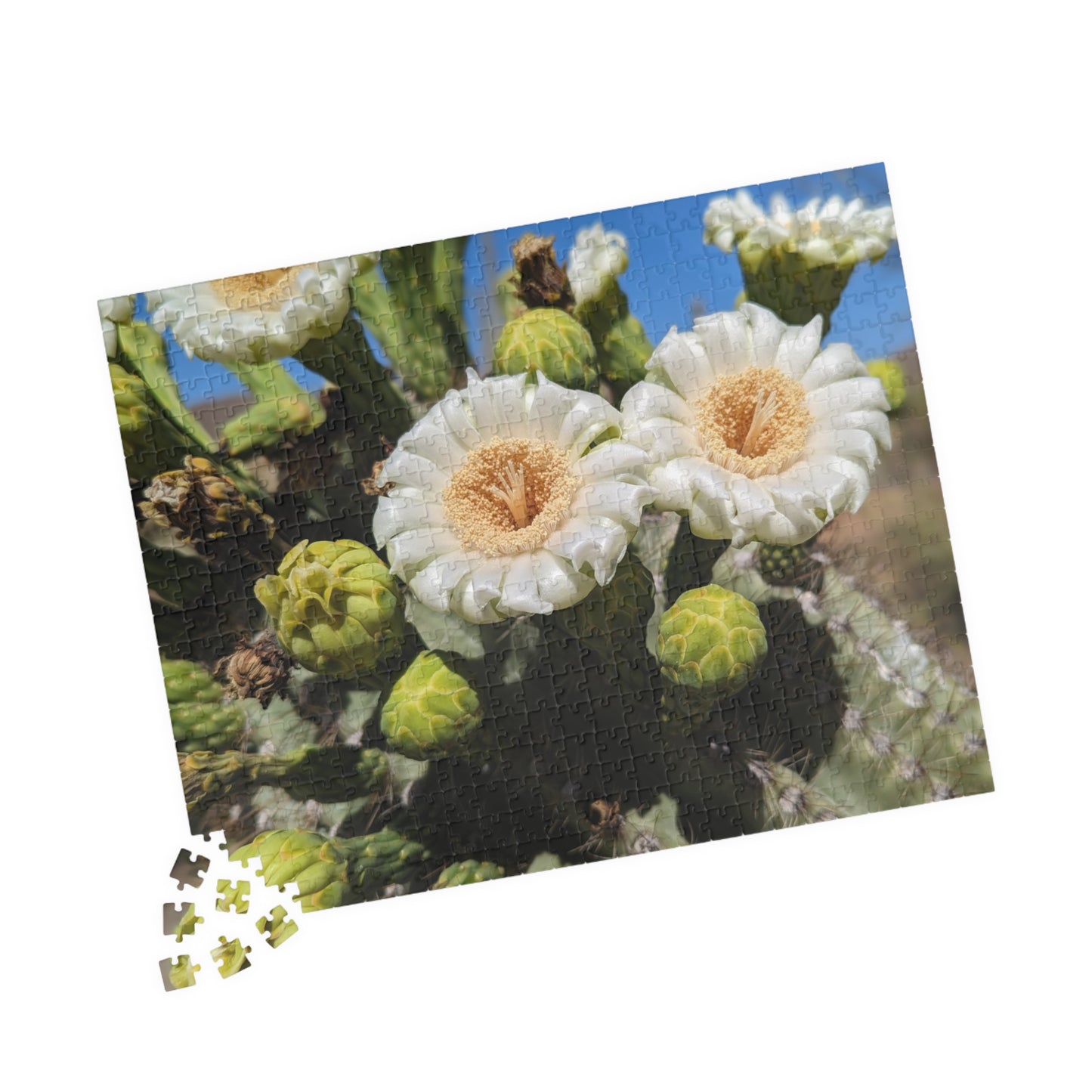 cactus flower puzzle