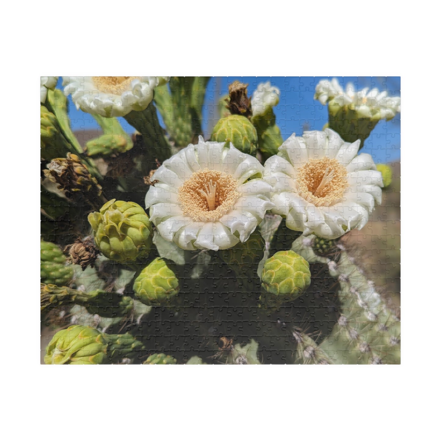 cactus flower puzzle