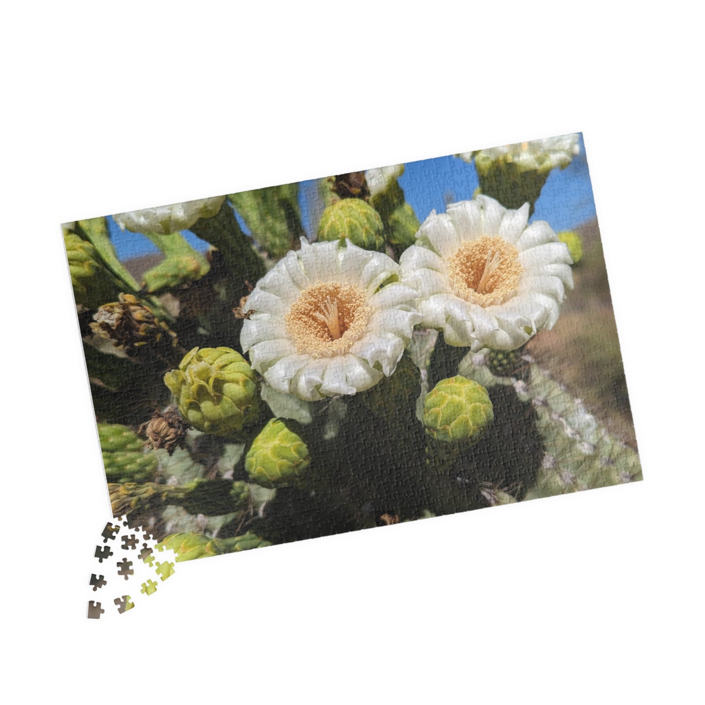 cactus flower puzzle