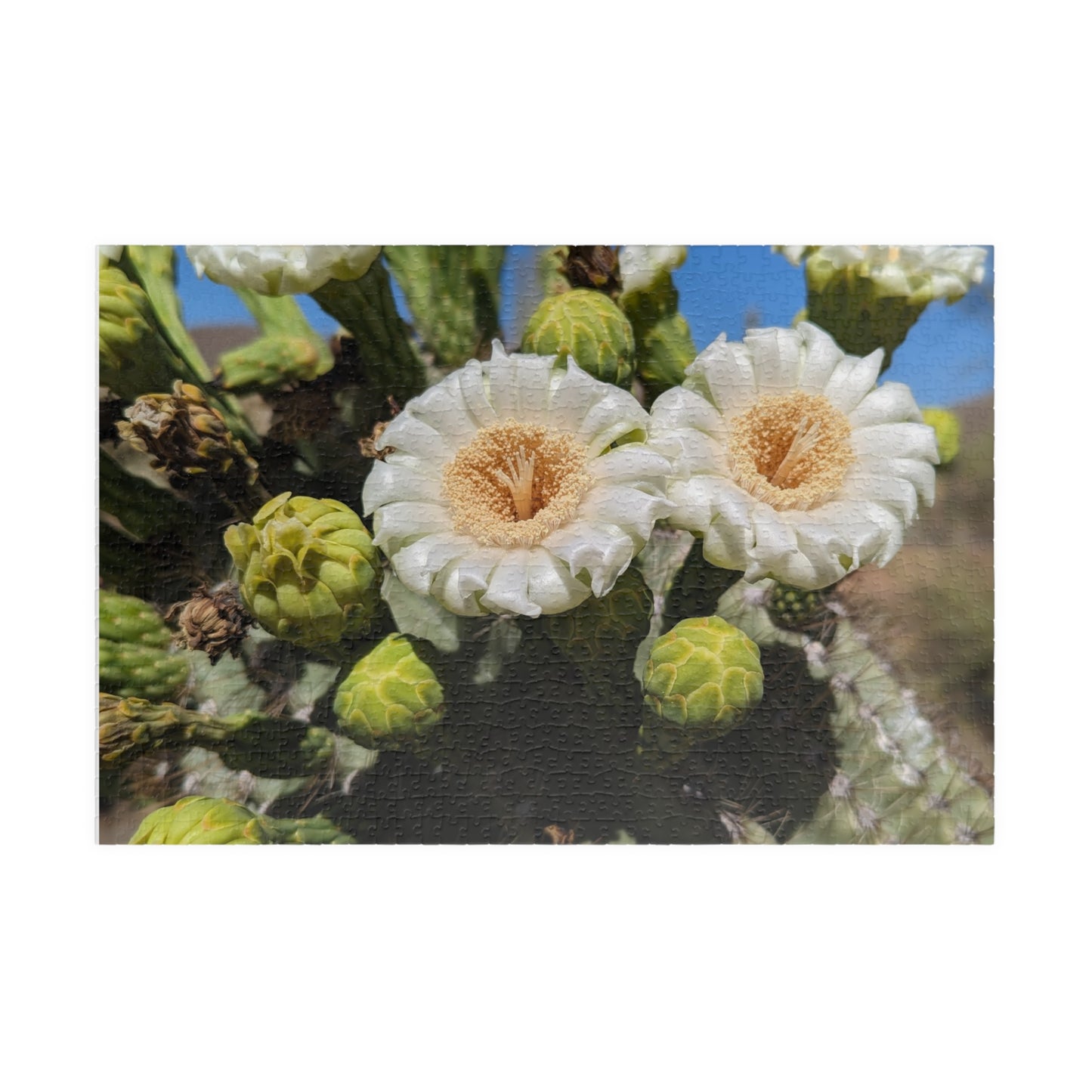 cactus flower puzzle