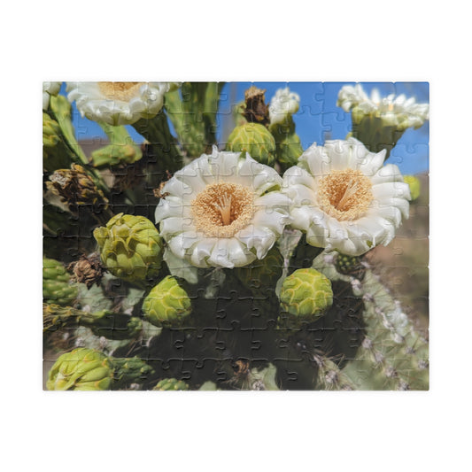 cactus flower puzzle