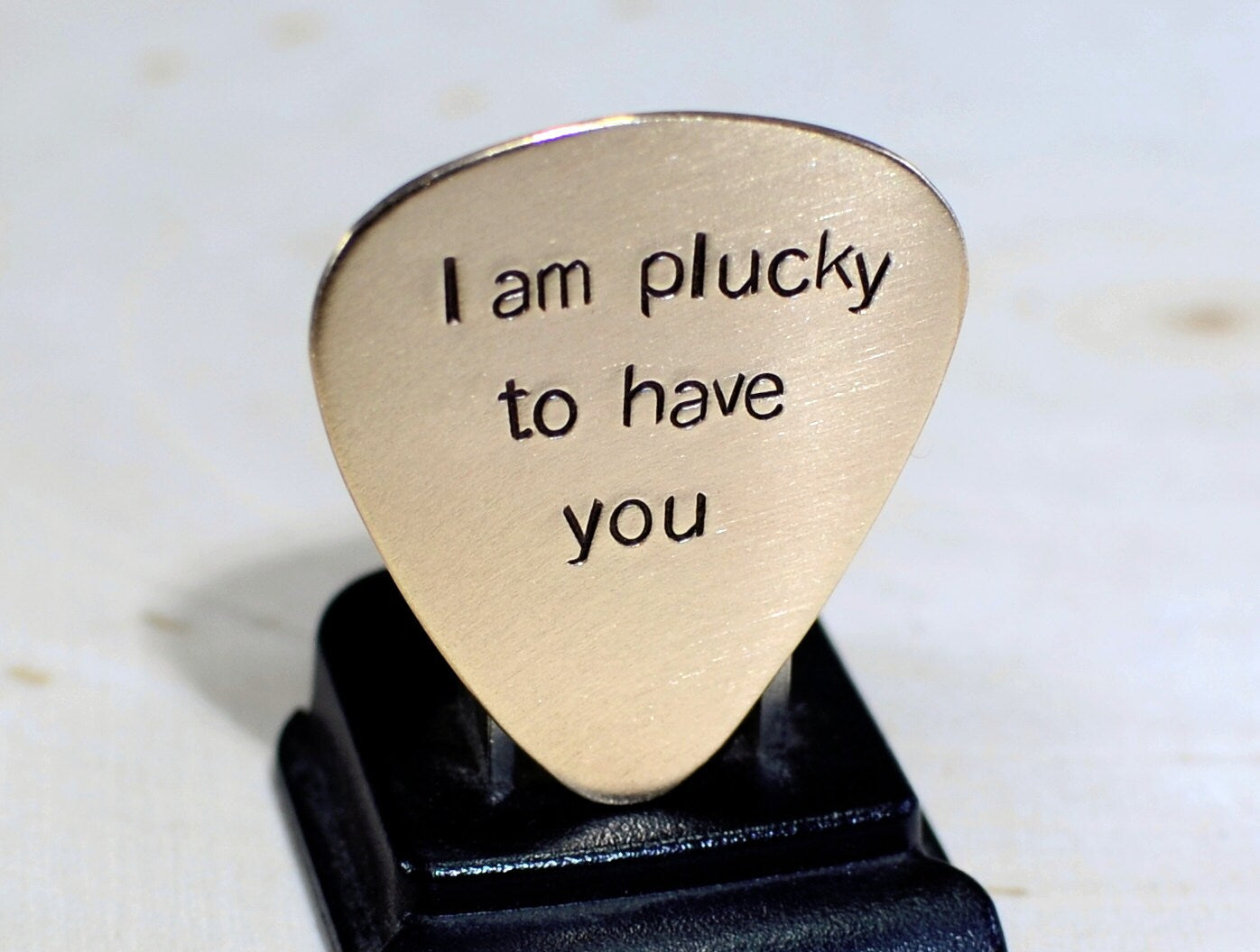 Bronze guitar pick with I am plucky to have you hand stamped and customized