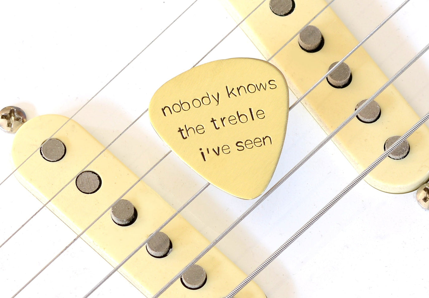 Guitar Pick stamped with Nobody knows the Treble I’ve seen