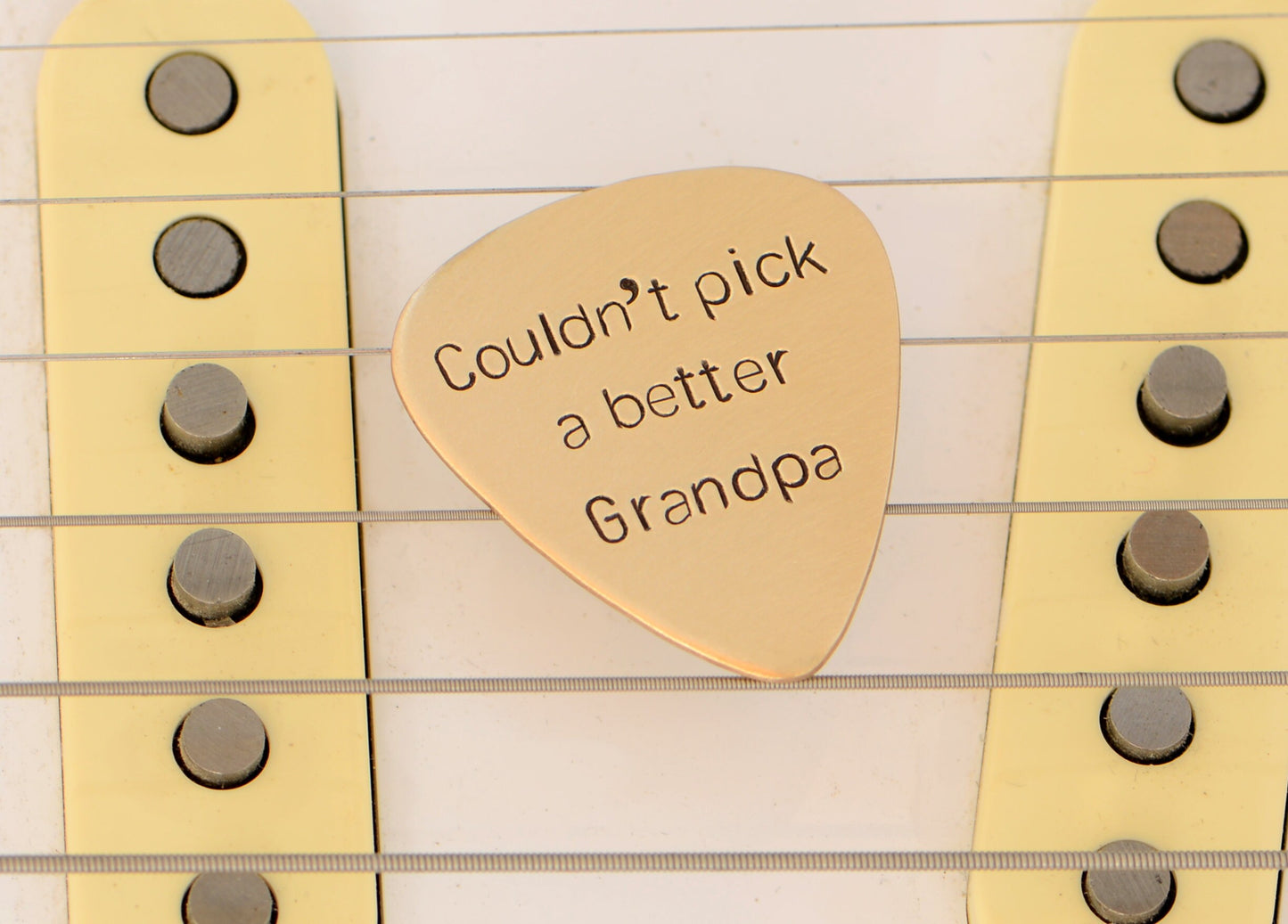 Couldn’t Pick a better Grandpa bronze Guitar Pick