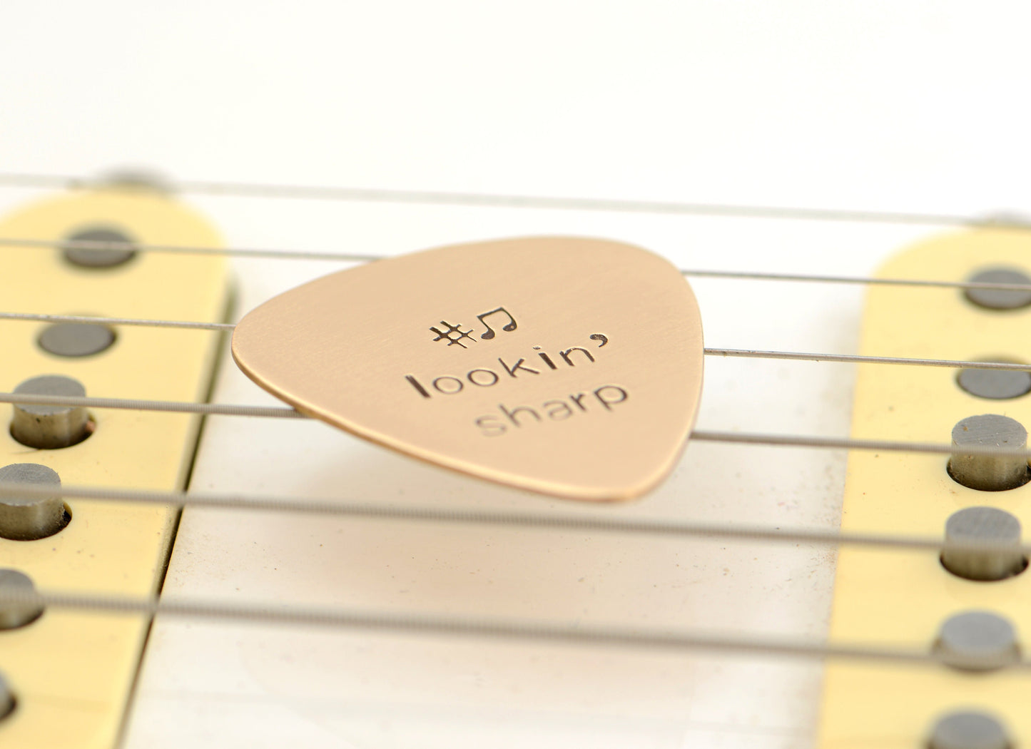 Lookin’ Sharp Guitar Pick in Bronze