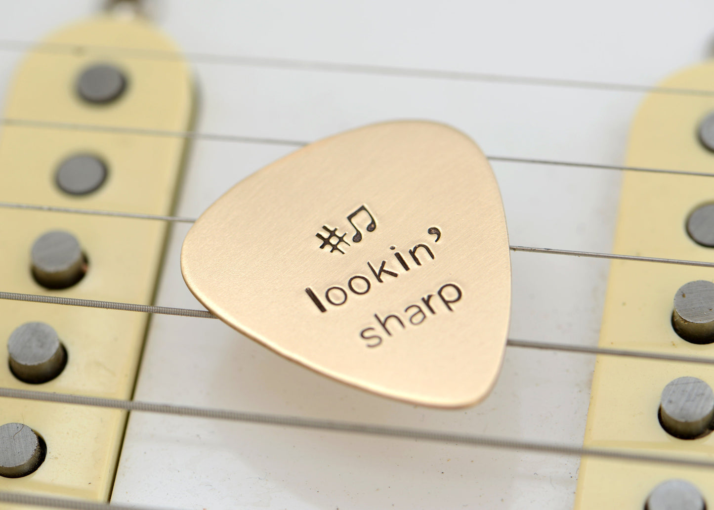 Lookin’ Sharp Guitar Pick in Bronze
