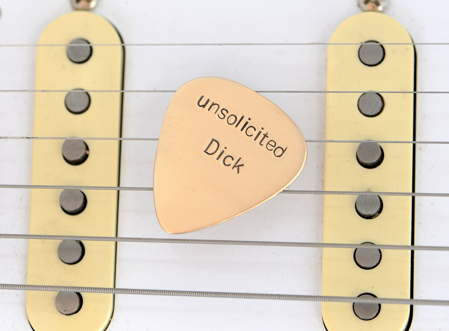 Unsolicited Dick Pick - Guitar Pick in Bronze