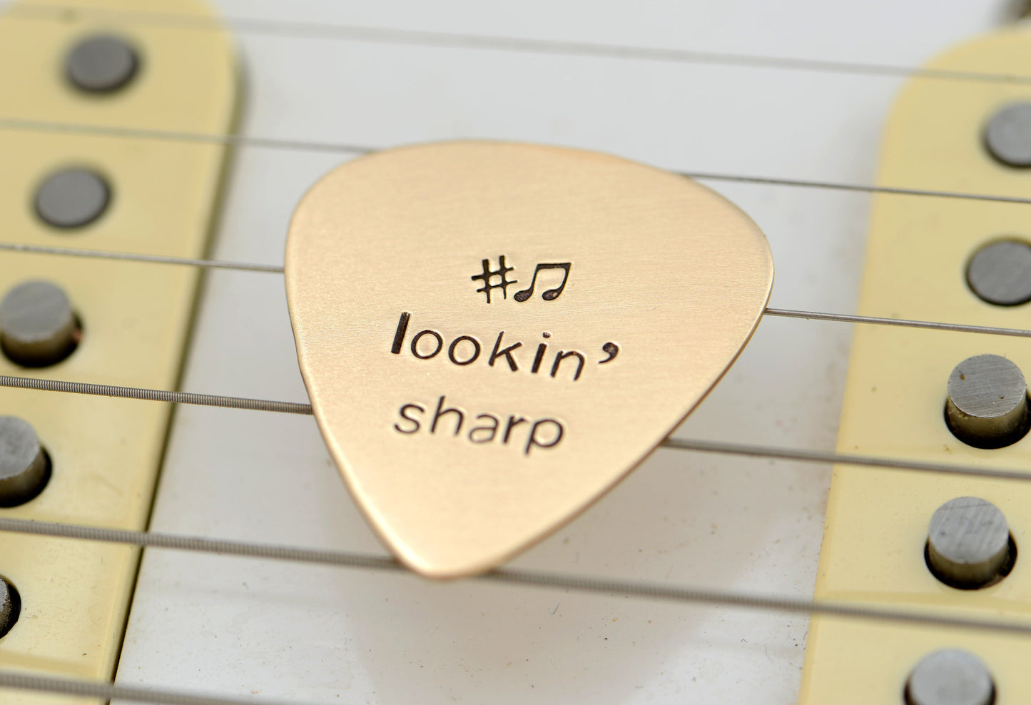 Lookin’ Sharp Guitar Pick in Bronze
