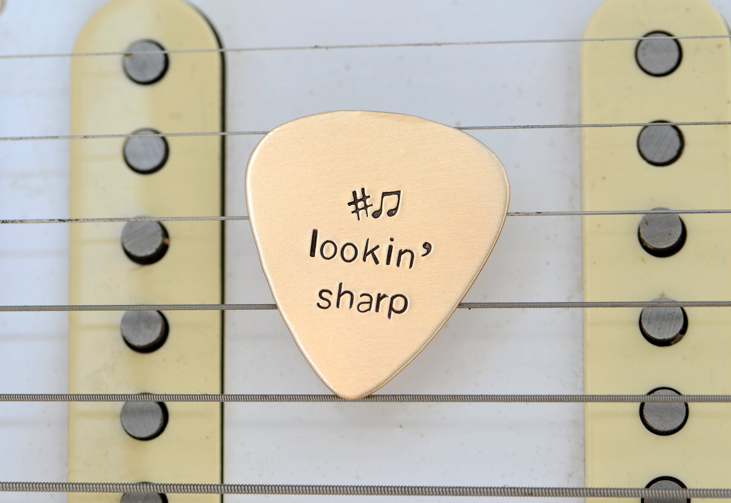 Lookin’ Sharp Guitar Pick in Bronze