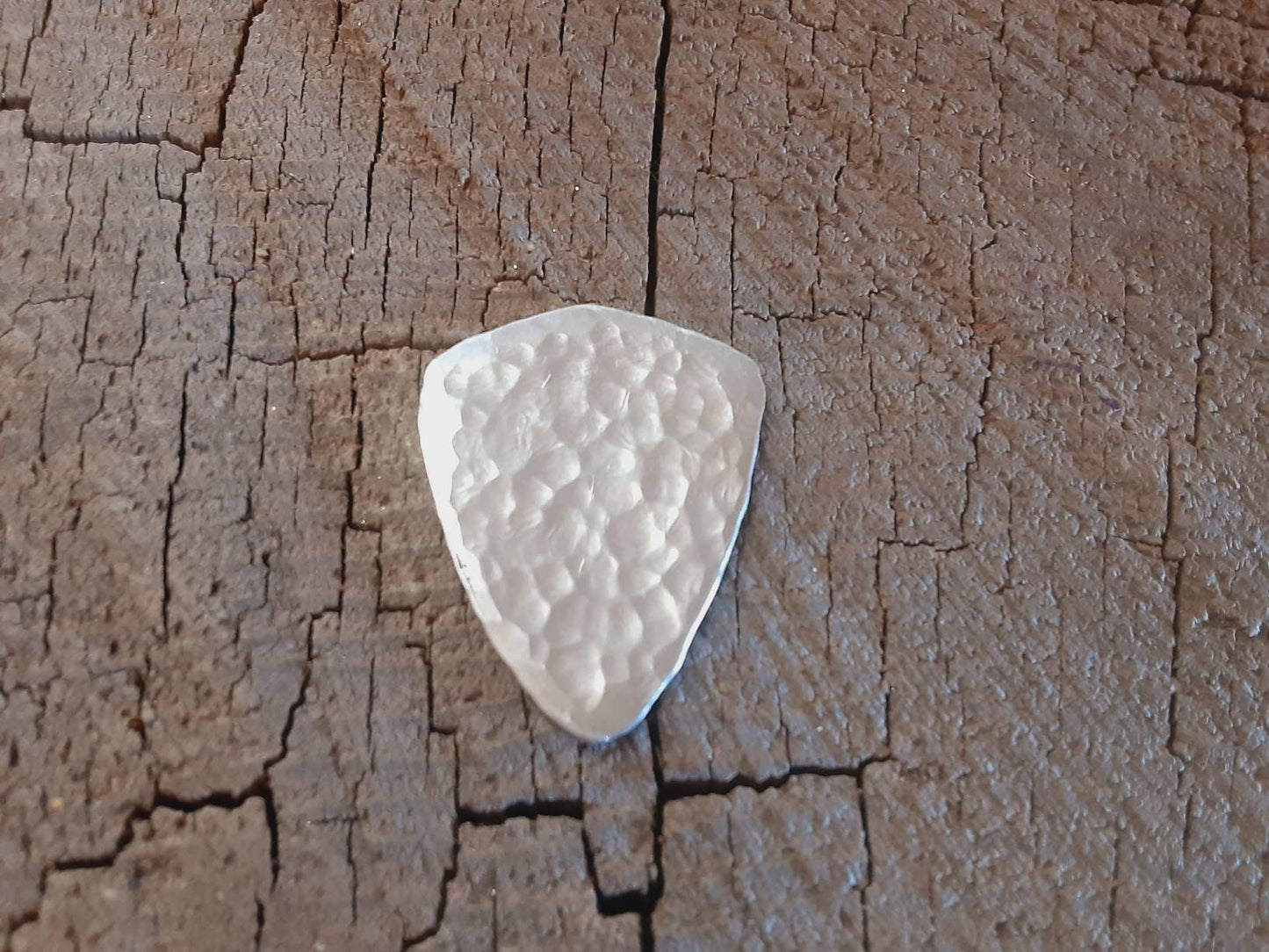 Aluminum guitar pick with Viking crow and Norse theme