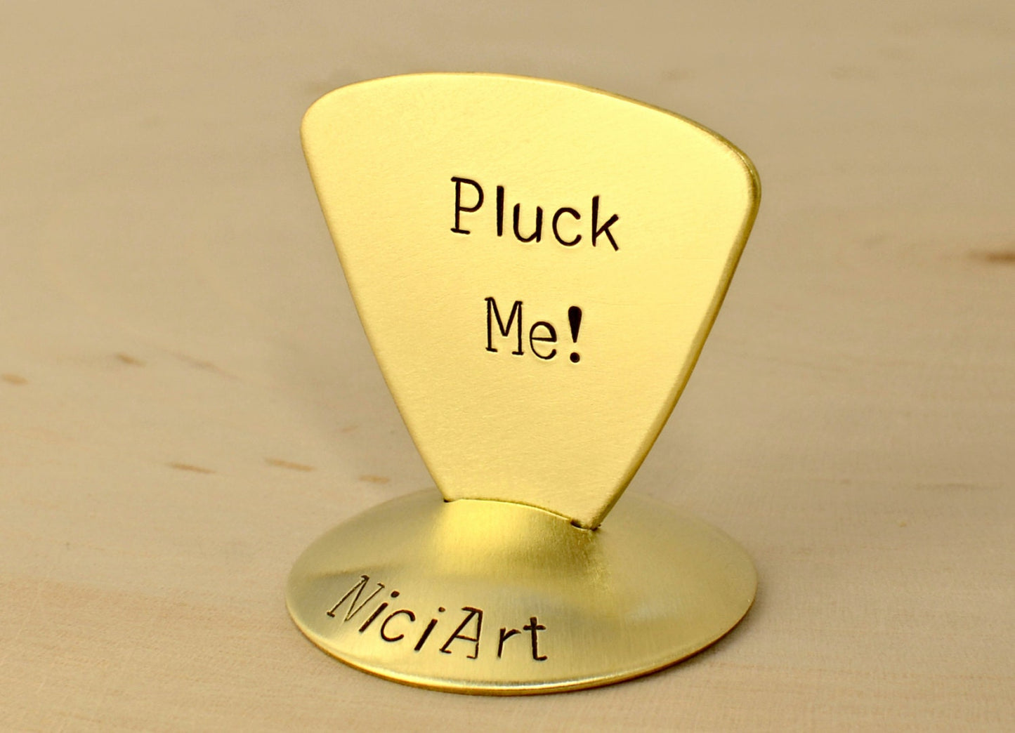 Triangular Bass Style Guitar Pick stamped with Pluck Me