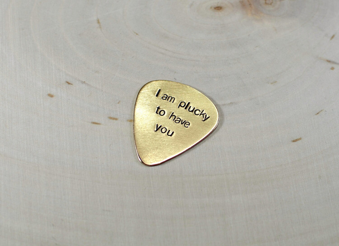 Bronze guitar pick with I am plucky to have you hand stamped and customized