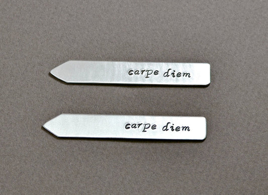 Carpe diem collar stays in aluminum